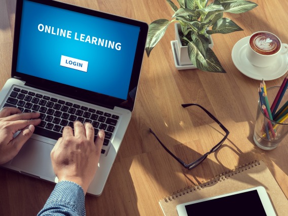 Online Learning Picture