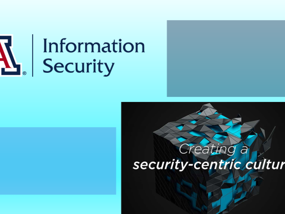 security-centric culture